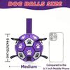 Dog Toys Soccer Ball with Straps, Interactive Dog Toys for Tug of War, Puppy Birthday Gifts, Water Toy, Durable Dogs Balls World