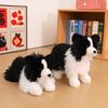 Großer Plüsch Border Collie Hundespielzeug mit PP-Baumwollfüllung für Kinder, Geschenk und Komfort