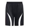 Спортивные шорты adidas adicolor Teamgeist