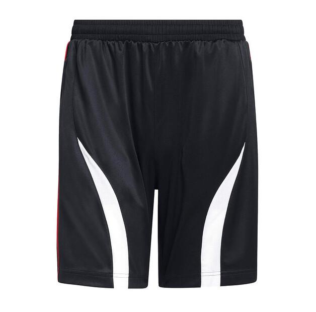 Спортивные шорты adidas adicolor Teamgeist