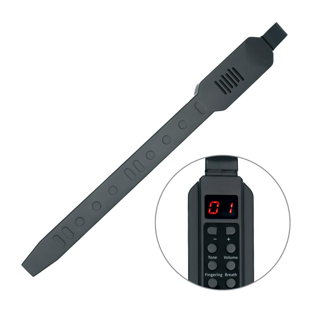 MusicMate MM-D10 AeroTone 10-in-1 Electronic Wind Instrument