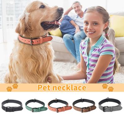 Köpek – Köpek Tasmaları ve Tasma Kayışları