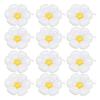 50pcs Daisy Balloons Birthday Decoration Party Supplies Daisy Baby Shower Balloon Decor for