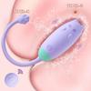 Wireless Control G Spot Vibrator for Women Powerful Vaginal Massager Clit Stimulator Wear Panties Vibrating Egg Adult Sex Toys