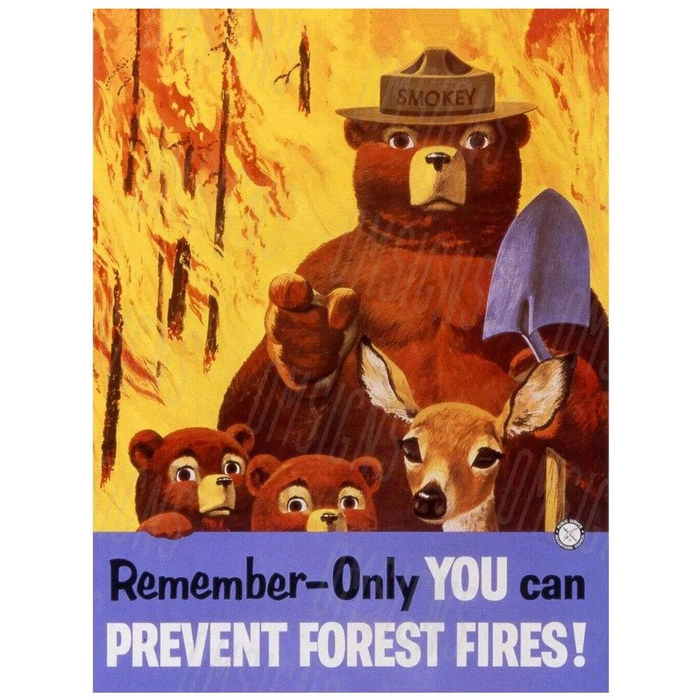 Vintage Warning Metal Tin Signs Only You Can Prevent Forest Fires Wall Decor for Forest Park Garden Bars Garage Cafe Clubs Retro
