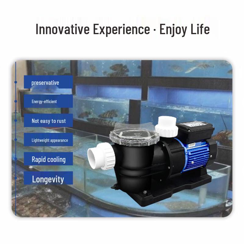0.75kW Circulation Filter Water Pump