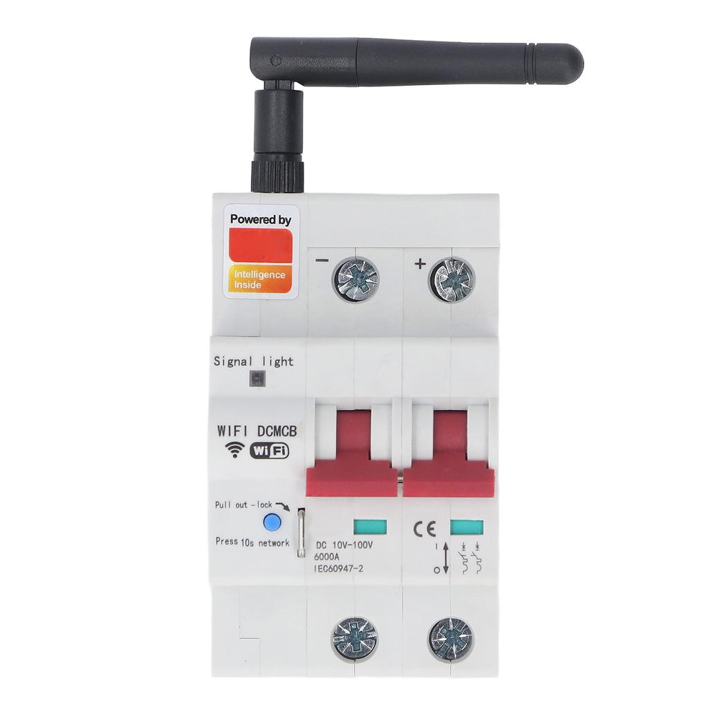 Smart DC Circuit Breaker 2P APP Control Voice Control WiFi Circuit Breaker with Safety Lock DC10‑100V 80A