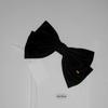 [Free Shipping] Kat Hair Clip