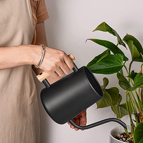 IMEEA Watering Can, 1000ml, Stainless Steel with Wooden Handle, Stylish Gardening Tool, Black