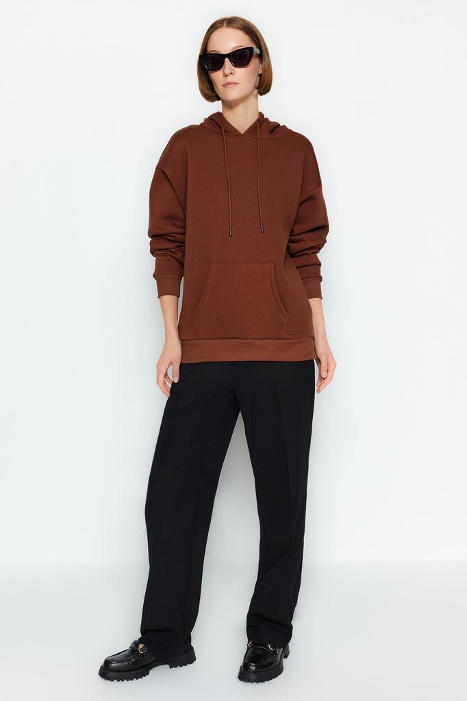 Women's Fashion New Sweatshirt Mink Thick Fleece Inside Oversize Wide Fit Hooded Basic Knitted Sweatshirt