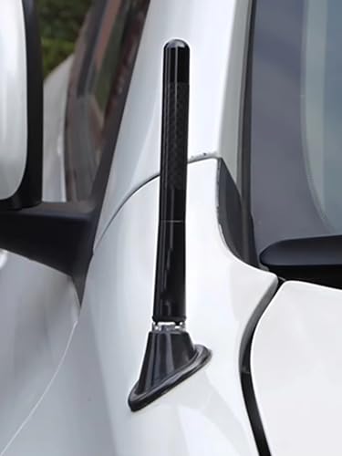 Autoantennenverstärker - Kurze Antenne Auto AM/FM Radio Ersatzantenne Universal Hohe Empfindlichkeit - Einfach zu installieren Radio Hohe Empfindlichkeit Anten