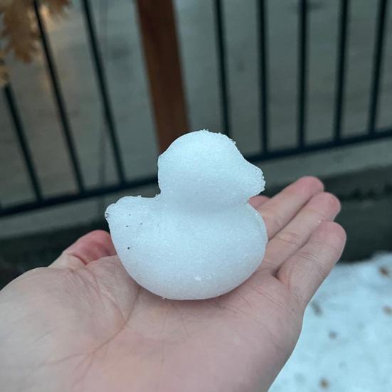 1/2/5Pcs Snow Duck Mold Snowball Maker Portable One-Hand Press Fast Snow Ball Making Tool Outdoor Winter Snow Fights Game Snow Ball Clip