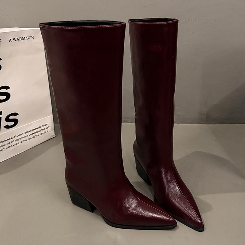 High Boots for Women High Heels Luxury Shoes Chunky Pointed Toe Women Pumps 2025 Winter Elegant Chelsea Botas De Mujer