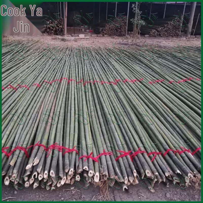 Outdoor Bamboo Flagpoles