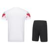 Li Ning Badminton Collection Badminton Jersey Set Unisex AATV011-2