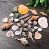 Beach Seashells Decoration Starfish Sea Snail Coral Ornament for Wedding Party