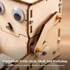 DIY Robot Kit Science Puzzle Teaching for Classroom, Students, Hobby Builders