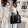French Niche Light Luxury Bag Women's 2025 New Popular High-end Shoulder Messenger Bag Foreign Style Portable Princess Diana Bag