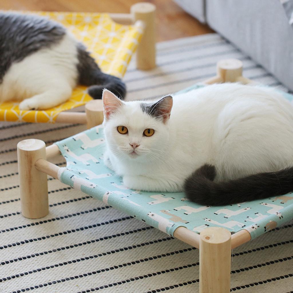 canvas cat bed