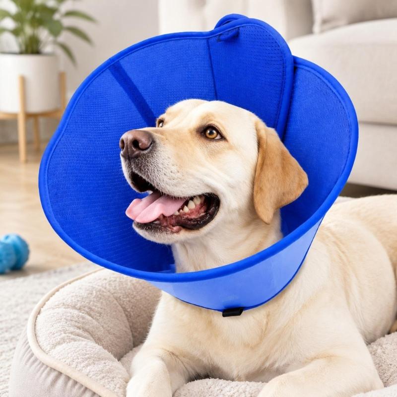 Pet Recovery Collar with Bounded Edges, Wearable Barrier for Care and After-Grooming Pet Recovery, Lick Proof Design