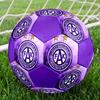 Austria Vienna FC Size 5 Soccer Ball, Machine-Stitched PVC, Durable & High Bounce, All Ages Fit, Fan Merchandise, Matches & Outdoor Use.