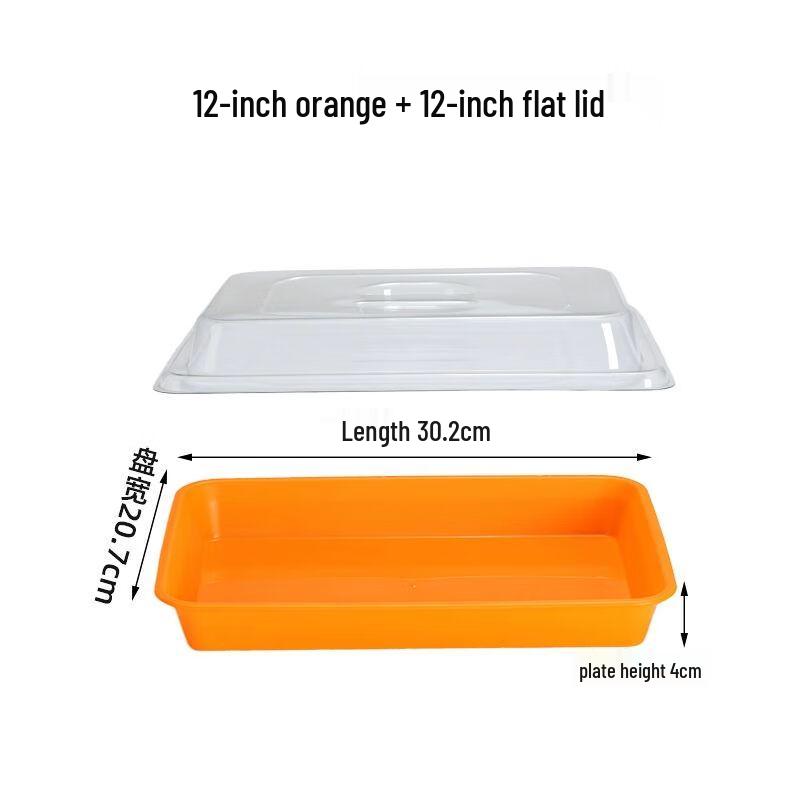 Rectangular Stainless Steel Food Display Tray with Lid