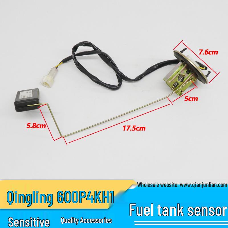 Qingling Isuzu 600P 4KH1 Fuel Level Sensor & Float