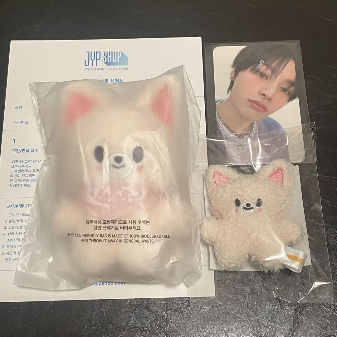 

[USED] SKZOO Foxiny Set