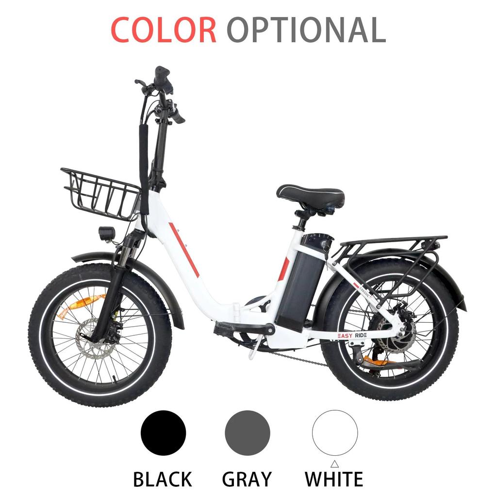 DZ2030 E-Bike 800W Motor 48V16AH Removable Battery Food Delivery Electric Bicycle 20*4.0 Fat Tire Adult Delivery Electric Bike