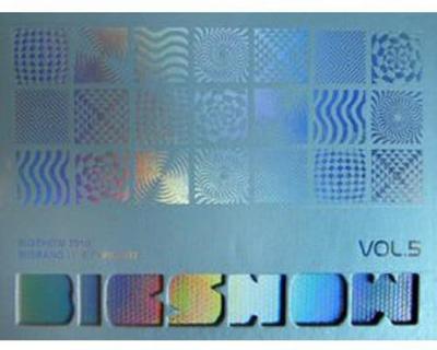 Big Bang - Álbum do Concerto ao Vivo de 2010 Big Show Vol.5 (Edição Coreana) - Modelo YG-BIGSHOW2010