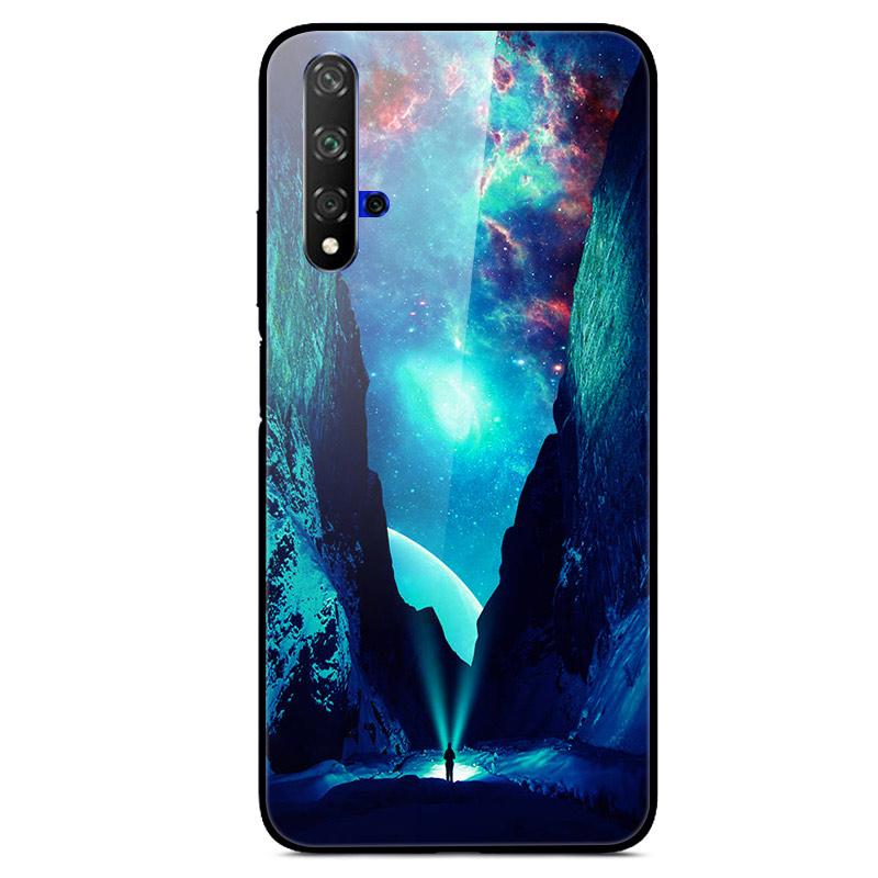 For Huawei Nova 5T Case Tempered Glass Cover 3D Cat Printing Case For Huawei Nova 5T 2019 5 T Phone Case For Huawei Nova5T Cover