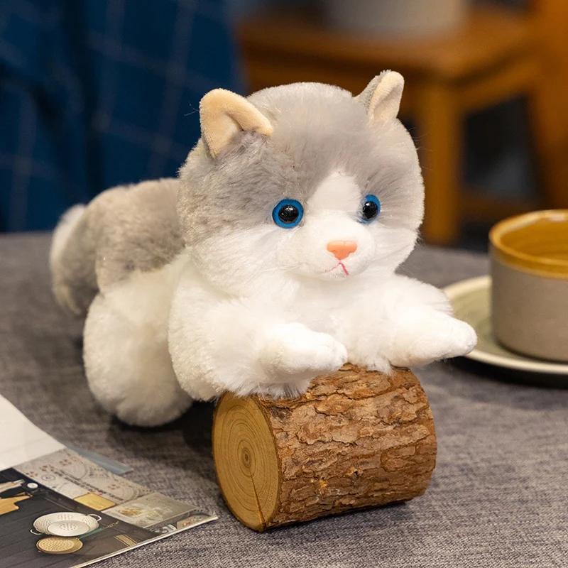 5 Styles Cuddly Lifelike Kitten Plush Toys Cotton Stuffed Lying Prone Cat Doll Well-behaved Desktop Pets Room Decor Funny Gift
