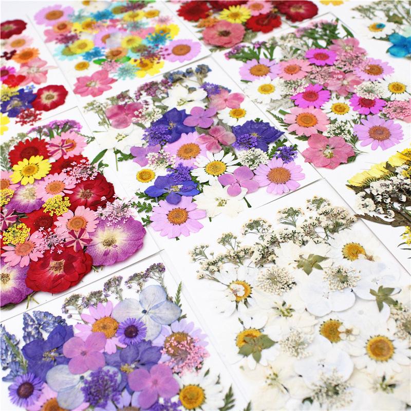 Dried Flowers Real Natural Plant Pressed Flower For Epoxy Resin Filling DIY Keychain Pendant Silicone Mold Jewelry Making Crafts