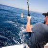 Glow Fishing Trolling Flasher Durable Fishing Lures Flasher Flasher Fly Trolling Lure  Trout