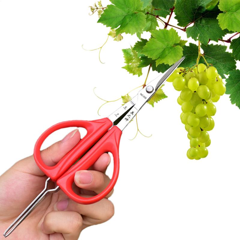 Grape Scissors Pruning Shears W/ Tweezers Garden Tool Vegetable Patch Bonsai Professional Joinery Stainless Steel Fruit Picking