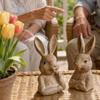 Bunny Figurines 2 Piece Collectible Bunny Figurines Ornament Rustic Outdoor Statues For Garden For Easter Home Table Shelf Yard