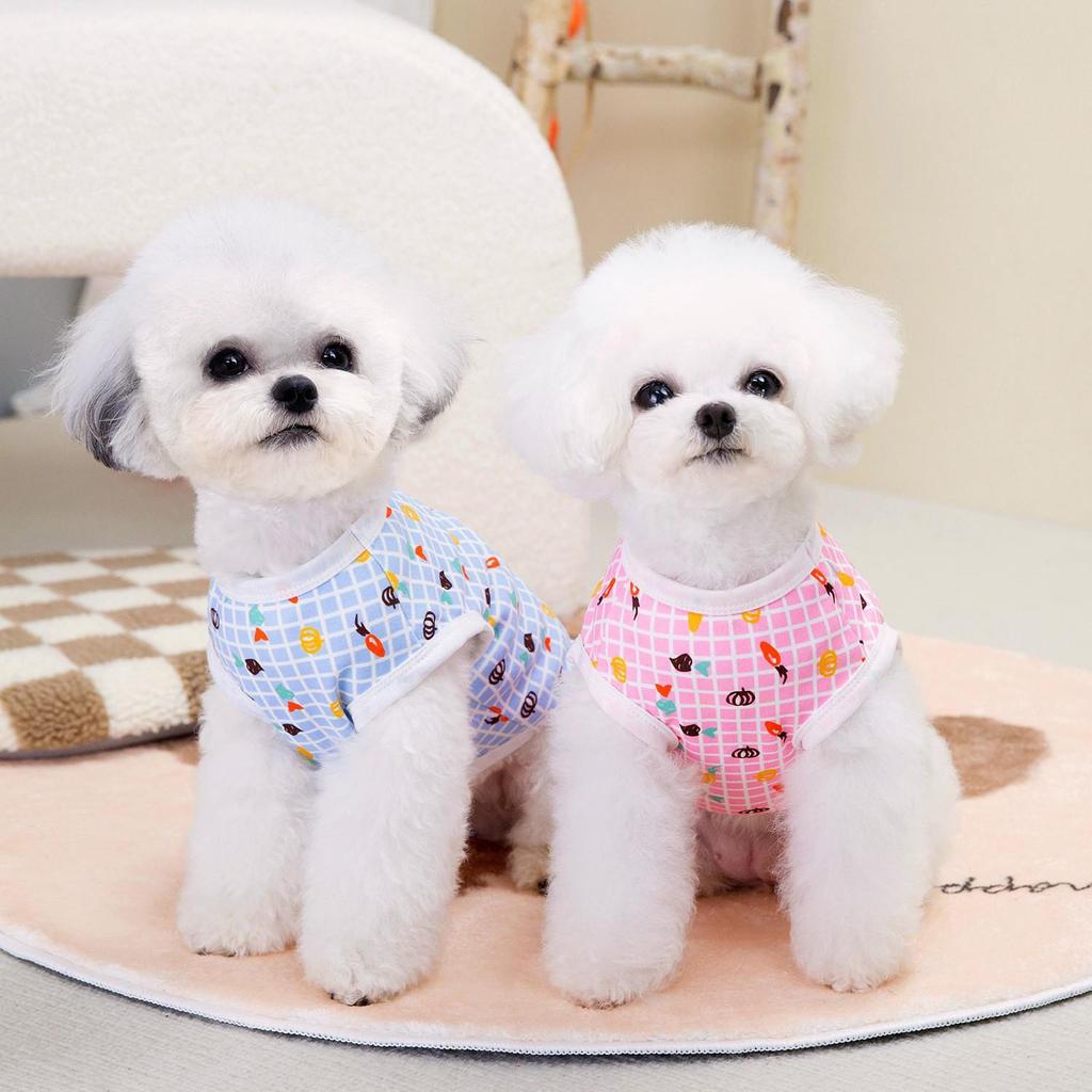 Spring/Summer Carrot Pet Vest for Dogs - Bichon & Teddy