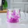 Real Flower Double-Layer Glass High Value Gift Coffee Cup High Borosilicate Simple Cup