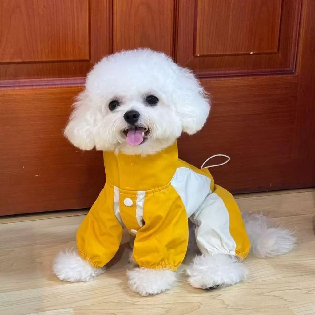 Abbigliamento per Cani Autunno/Inverno Giacca a Vento per Cani Piccoli e Medi – Stile Teddy Resistente allo Sporco, a Quattro Zampe, di Alta Gamma per Uso Esterno.