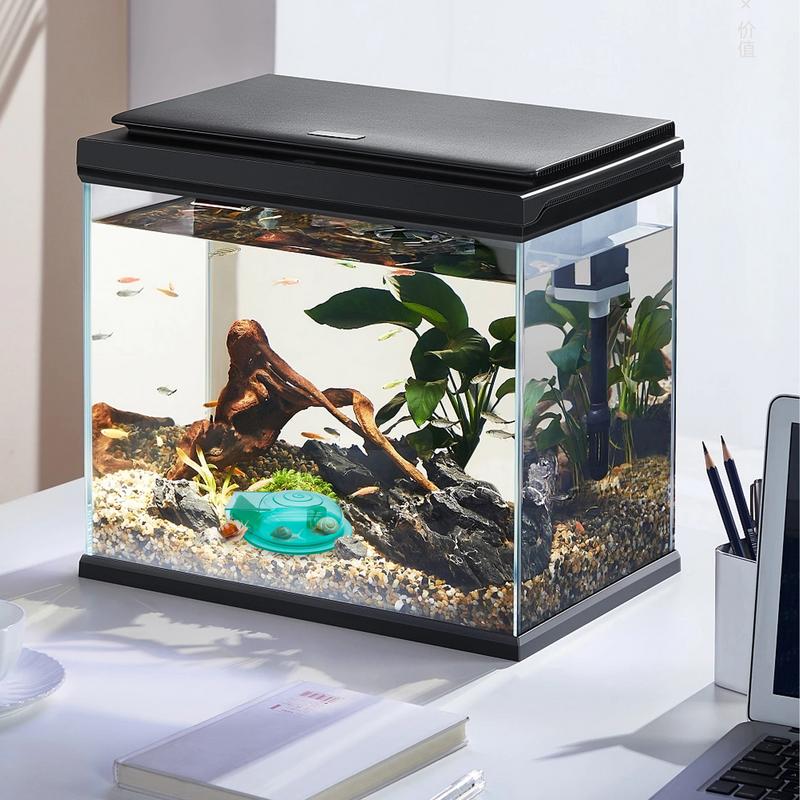 Snail Trap Transparent Snail Catcher Lightweight Planaria Removal Supplies Planaria Cleaning Tool for Aquarium Fish Tank