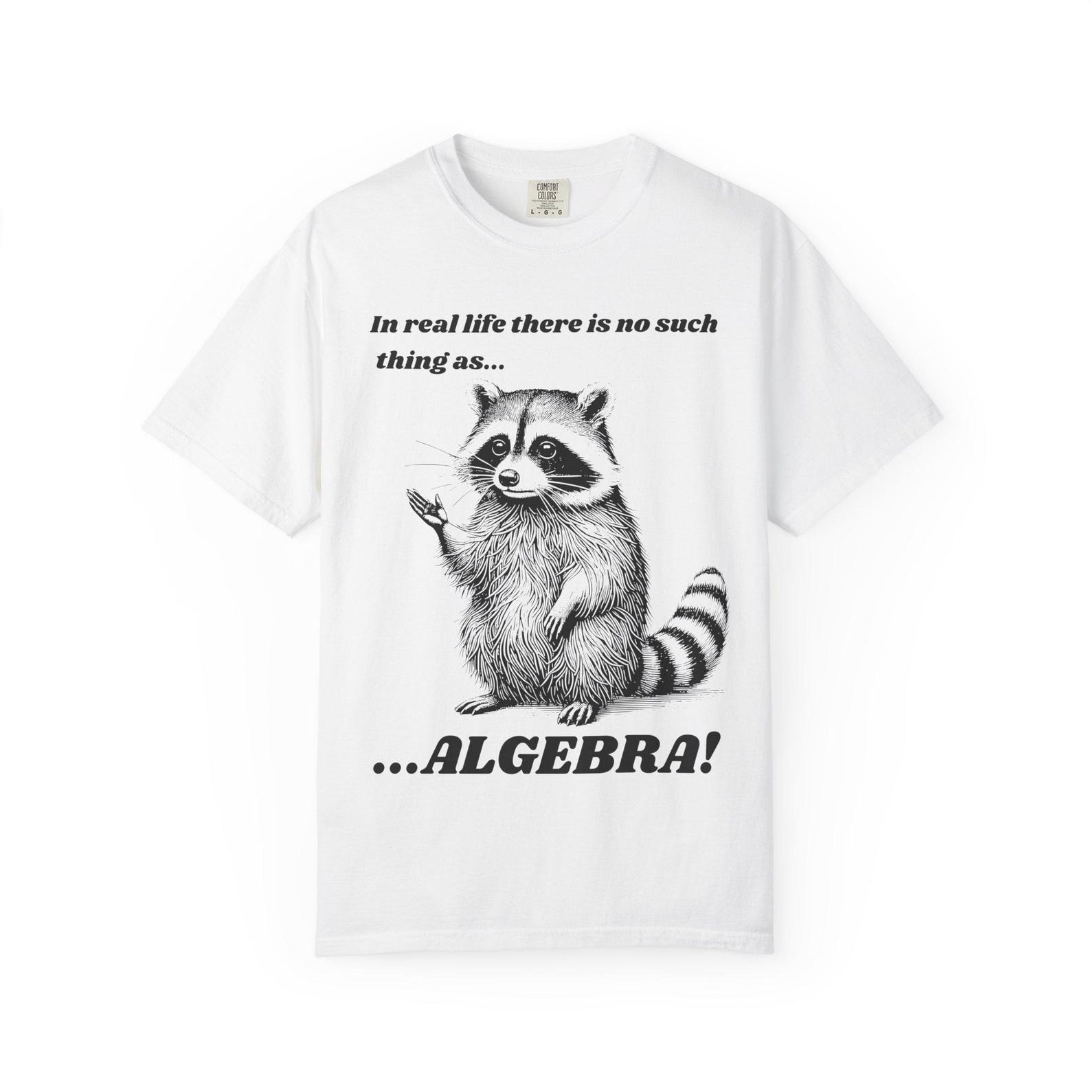 Funny Algebra Raccoon Engraving T-Shirt: Math Humor Tee S
