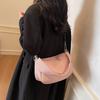 Niche fashion underarm bag women's bag 2025 new simple pillow bag versatile shoulder crossbody bag one piece dropship