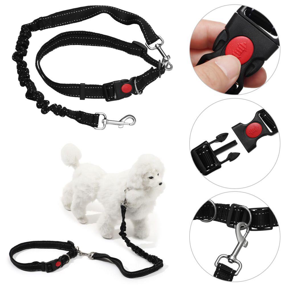 jogging leash
