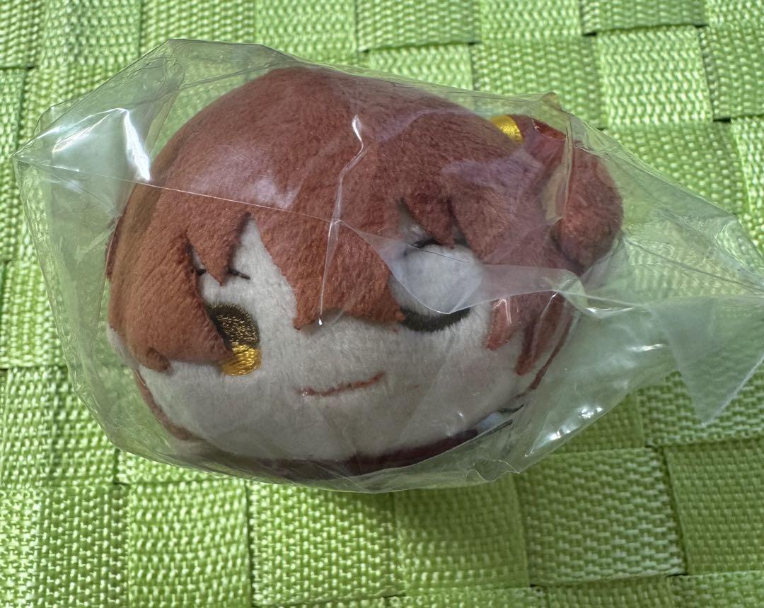 

[USED] FGO Protagonist (Female) Mochimochi Mascot Animate BOX Purchase Bonus Plush Toy