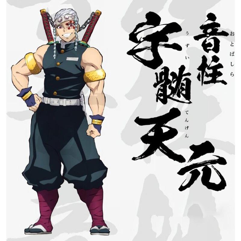 Demon Slayer Sanemi Shinazugawa Wind Hashira Cosplay Costume Demon Slayer Corps Uniform