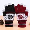 Winter Warm Knitted Gloves Fashion Snowflake Embroidery Touchscreen Gloves For Women Men New Year Gift