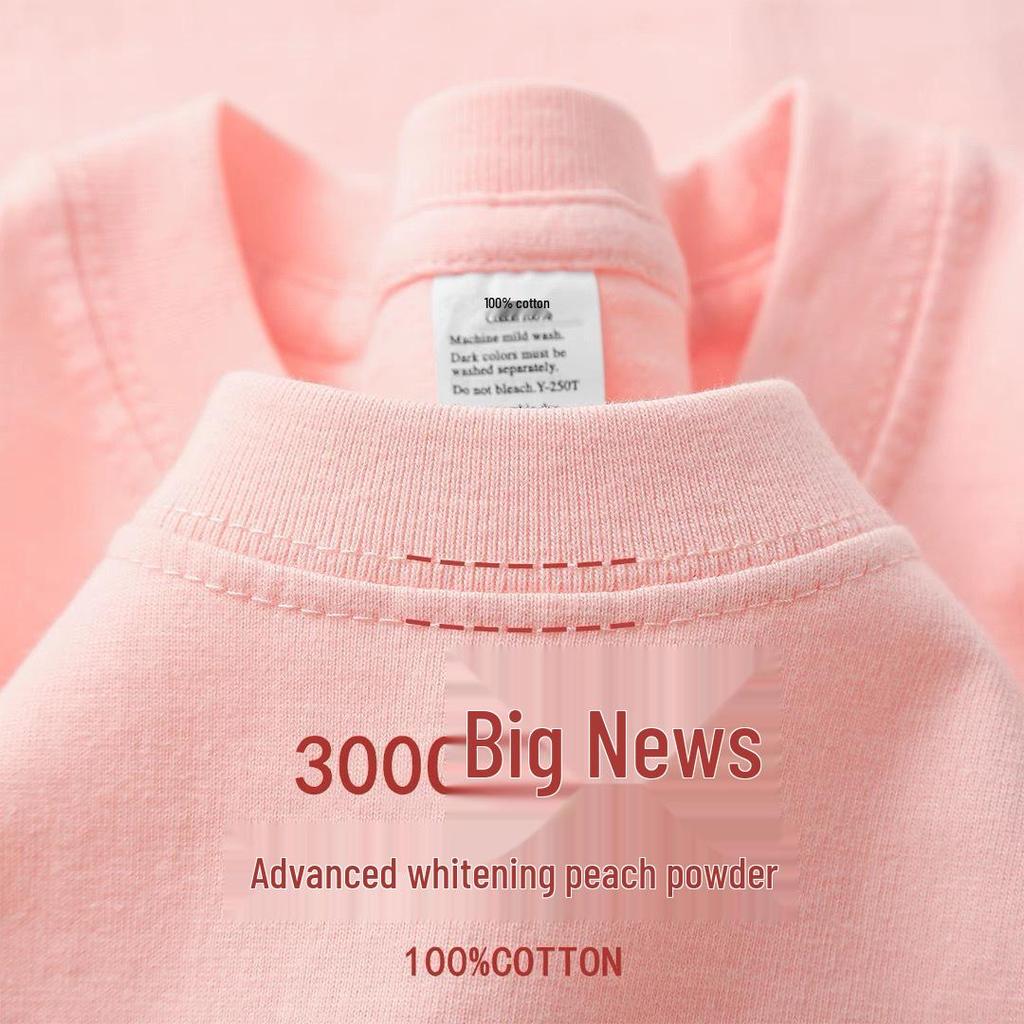 Unisex Heavyweight 300g Cotton Crew Neck Solid Color T-Shirt