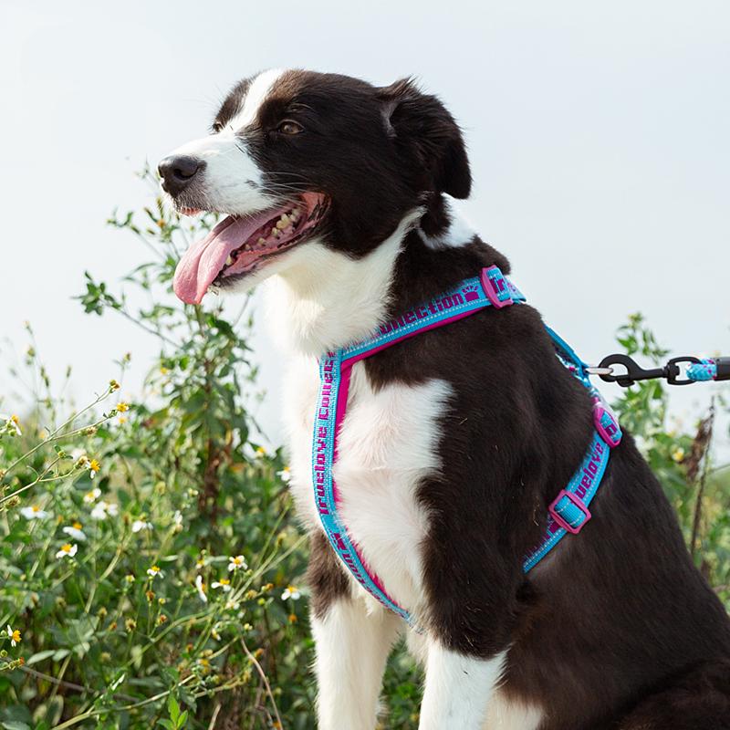 Winhyepet Dog Harness Big Dogs Reflective  Adjustable Vest Traveling Walking Pet Accessories for Small Meduim Large Dogs