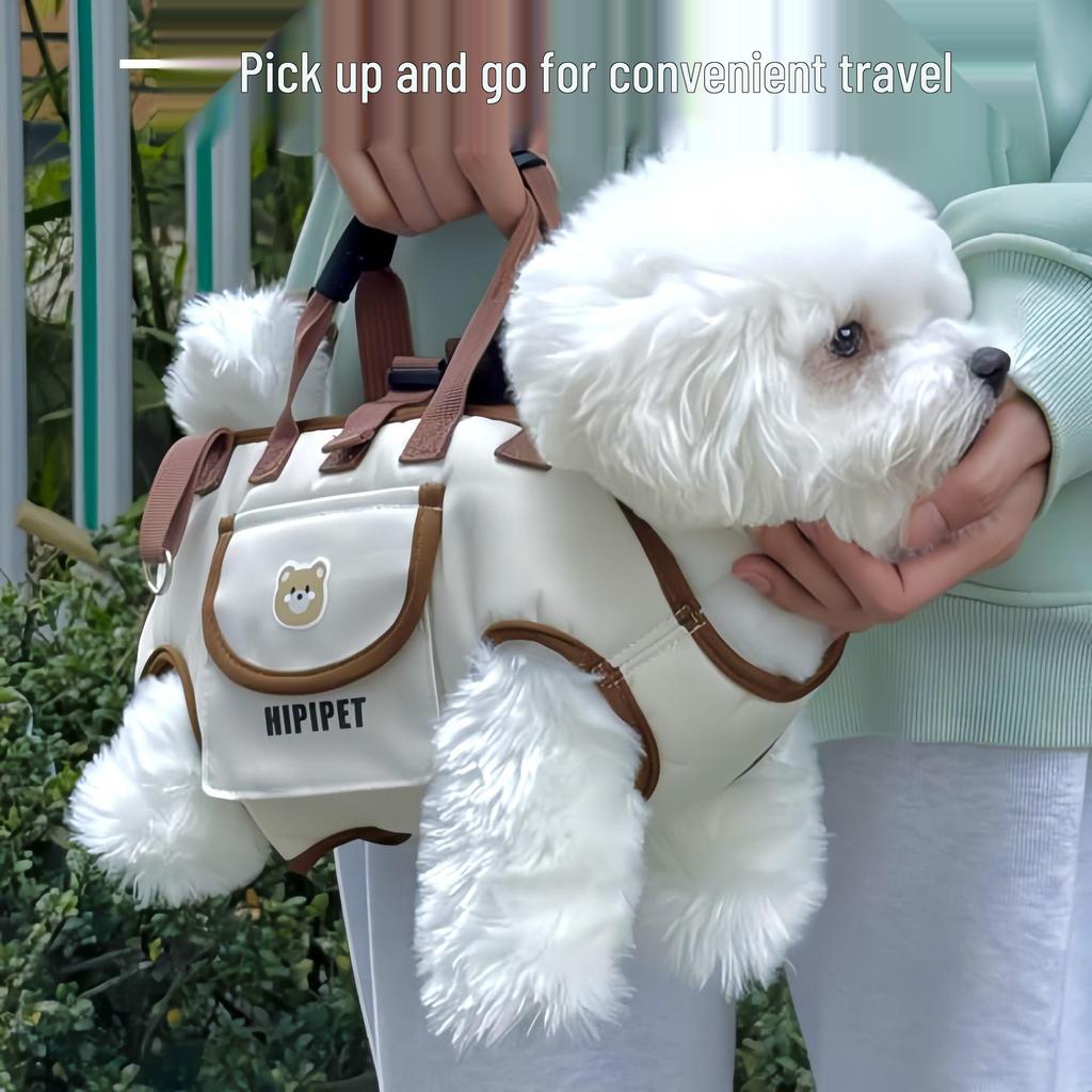 Breathable Outdoor Backpack with Leash for Small and Medium Dogs