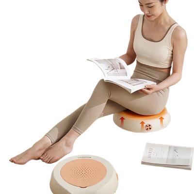 He Zheng Ai Rong Heated Moxibustion Seat Cushion CN Plug (adapter Included)